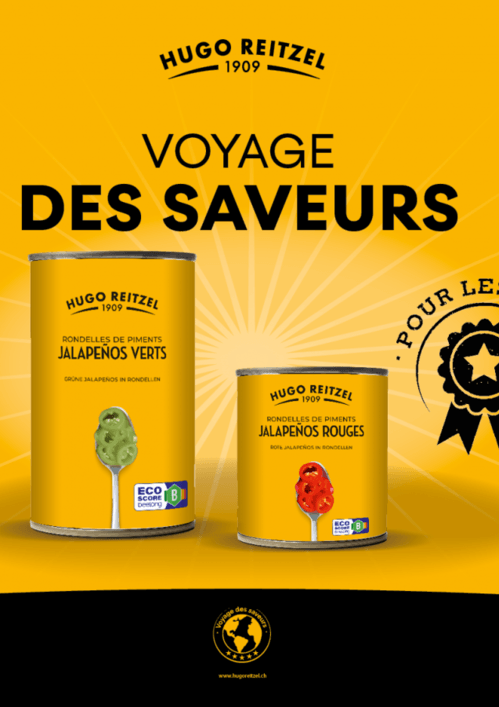 <strong>Produktkatalog </strong>herunterladen 2025